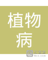 孟庆银
