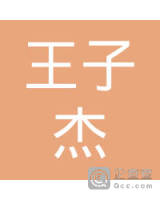 王子杰_王子杰个人信用查询_关联公司查询_对外投资与