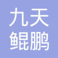 武汉九天鲲鹏咨询服务有限公司