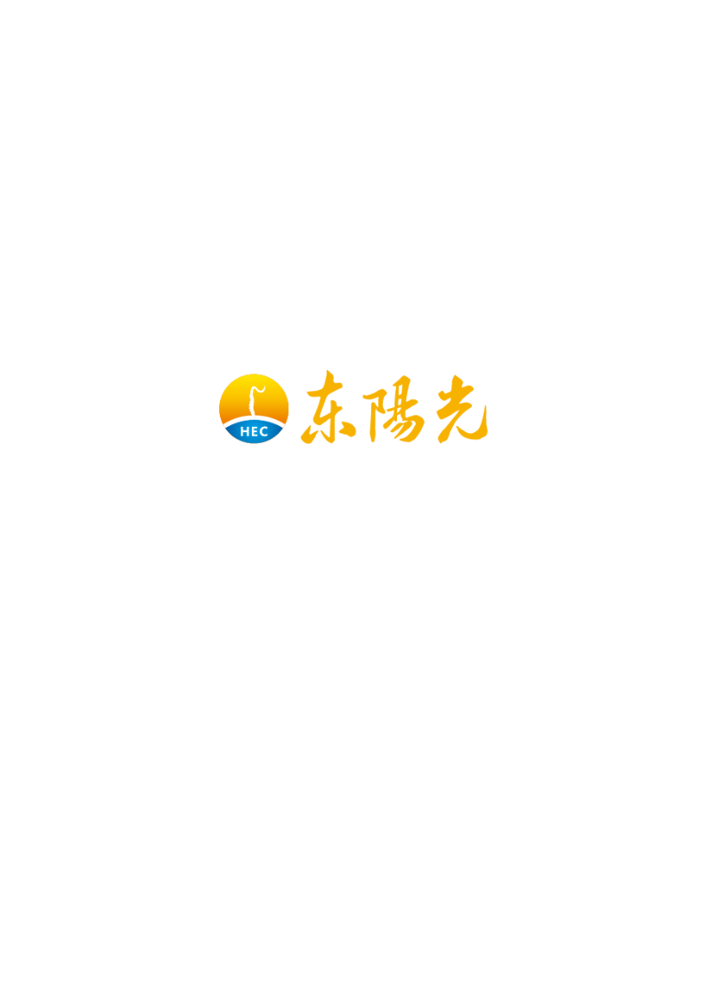 广东东阳光科技控股股份有限公司