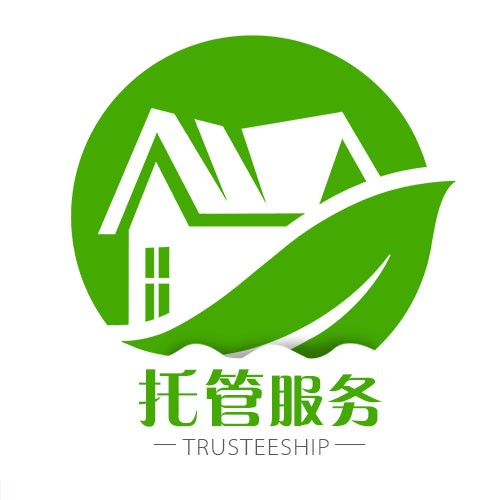 淘宝店铺代运营：电商行业的新兴力量
