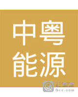 湛江中粤能源有限公司